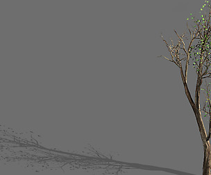 Big Tree-Plant-Wood 05