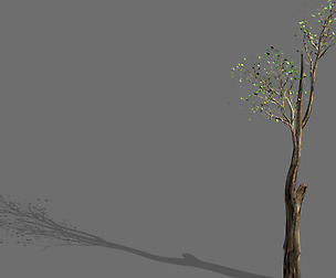 Big tree-plant-wood 012