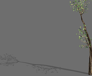 Big Tree-Plant-Wood 098