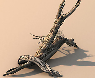 Segment Wood-Withered-Trunk 37