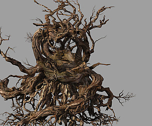 Phoenix Nest-Bird Nest-Tree Root