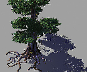 Strange Tree-Creeper-Vines 32