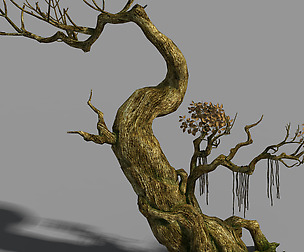 Hongri Taoist Temple-Tree