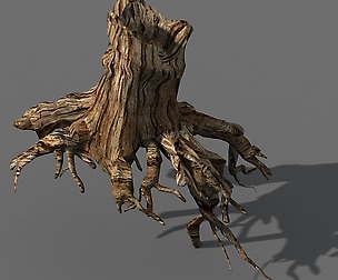 Populus euphratica-poplar-special tree 27