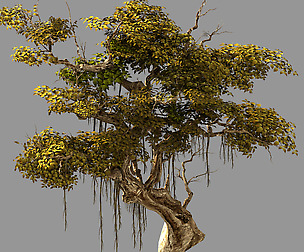Flower and Fruit Mountain-Tree 02