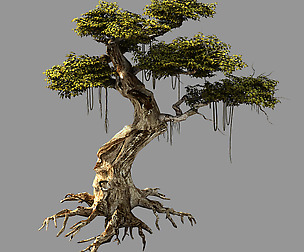 Huaguoshan-tree 06
