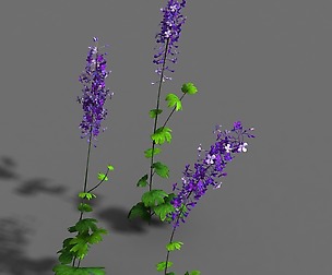Flower-plant-special 3
