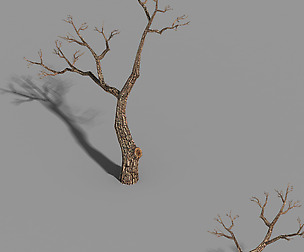 Temple of Confucius-Dead Tree 15