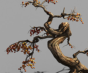 Temple of Confucius-Dead Tree 19