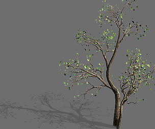 Green Plants-Landscape-Small Tree 52