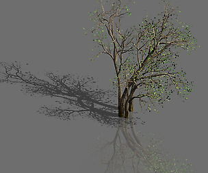 Green Plants-Landscape-Small Tree 53