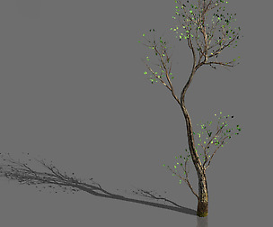 Green Plants-Landscape-Small Tree 54