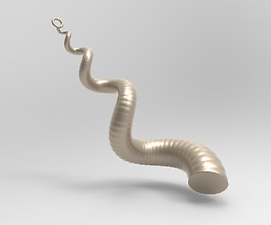 Cockleshell Snail Mollusc Charm 3D Printing Charm