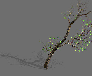 Green Plants-Landscape-Small Tree 56