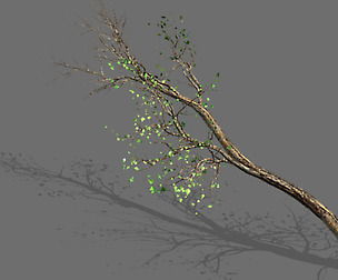 Green Plants-Landscape-Small Tree 57