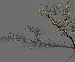 Green Plants-Landscape-Small Tree 58