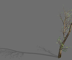 Green Plants-Landscape-Small Tree 61