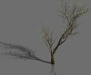 Green Plants-Landscape-Small Tree 64