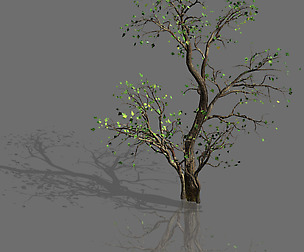 Green Plants-Landscape-Small Tree 65