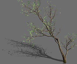Green Plants-Landscape-Small Tree 67