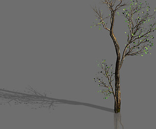 Green Plants-Landscape-Small Tree 68