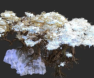 Nuwa-Snow Populus 12