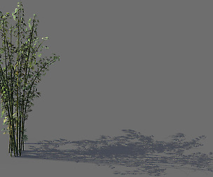 Mount Putuo-Bamboo 22