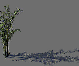 Mount Putuo-Bamboo 23