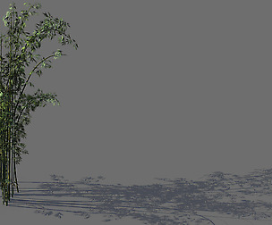 Mount Putuo-Bamboo 24