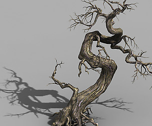 Qianhui Forest-Difu-Dead Tree 005