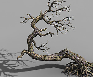 Qianhui Forest-Difu-Dead Tree 007