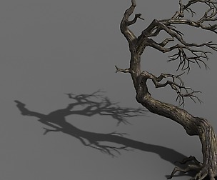 Qianhui Forest-Difu-Withered Tree 008