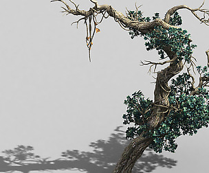 Qianhui Forest-Difu-Vine Tree 052