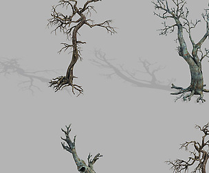 Dragon Fortress-Spider Forest Withered Tree 01