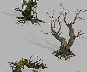 Dragon Fortress-Spider Forest Withered Tree 02