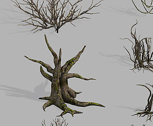 Dragon Fortress-Spider Forest Withered Tree 03