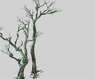 Vampire-Dead Tree 28