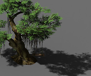 Fairy Forest-Banyan 06