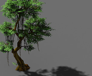 Fairy Forest-Banyan 07