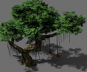 Fairy Trail-Banyan Tree 08