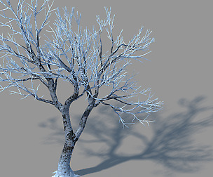 Garden-Garden-Tree 41