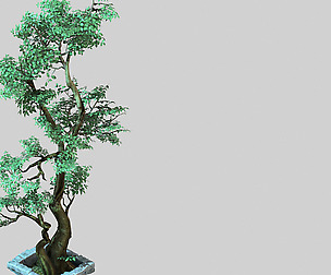 Garden-Garden-Tree 53