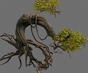 Plant-Forest-Big Tree 109