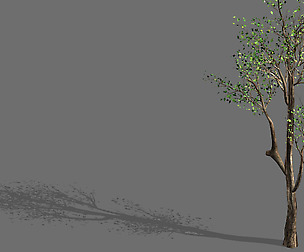 Plant-Forest-Big Tree 759