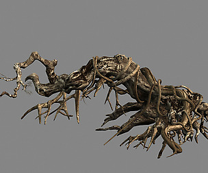Plant-Forest-Dead Tree 119