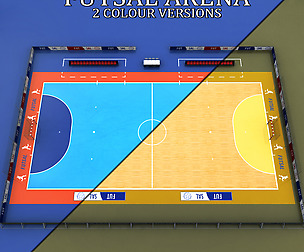 Futsal court arena