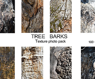 Tree Barks/Texture Photo Pack/Wooden crack