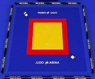 Judo tatami sport arena low poly