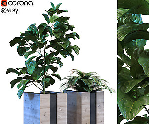 plants in box set 040