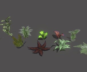 Set of plant tropic 1